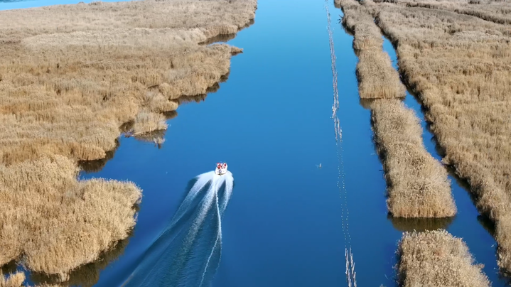 大道之行 | 从“死亡之海”到“塞外明珠”： 山水林田湖草沙综合治理的北疆实践