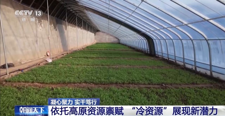 凝心聚力 实干笃行丨青海外贸缘何实现增速全国第一