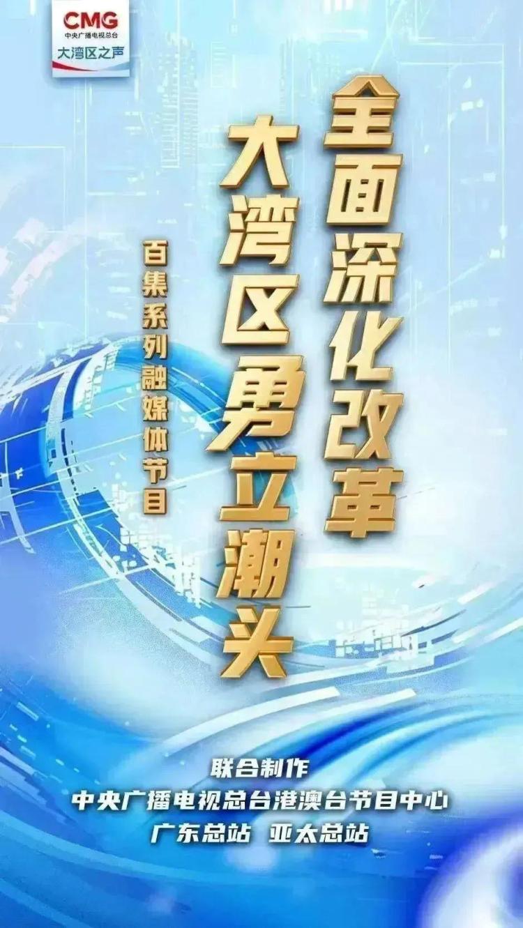 勇立潮头大湾区 | 以专业之力 拓“出海”天地