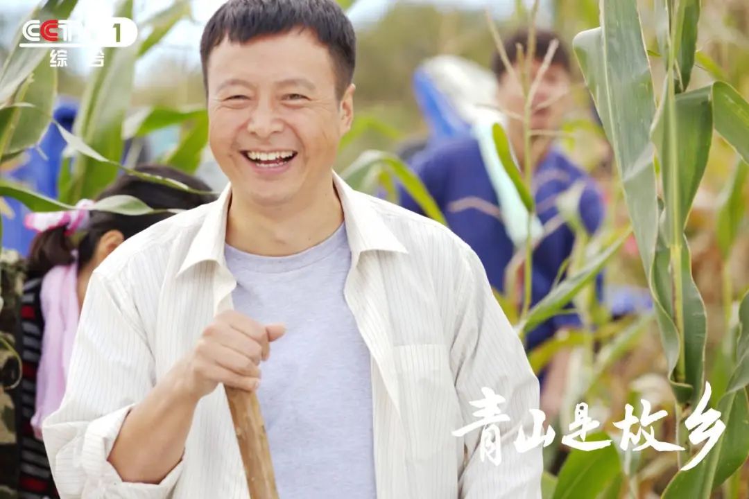 向下扎根，向上生长！电视剧《青山是故乡》 CCTV-1今晚开播