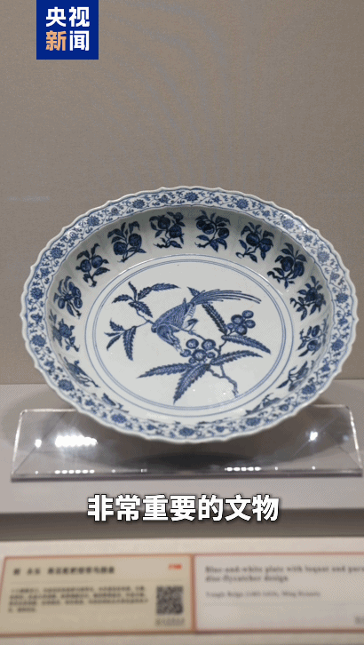 Welcome to Tianjin！上合文化交流之旅，走起