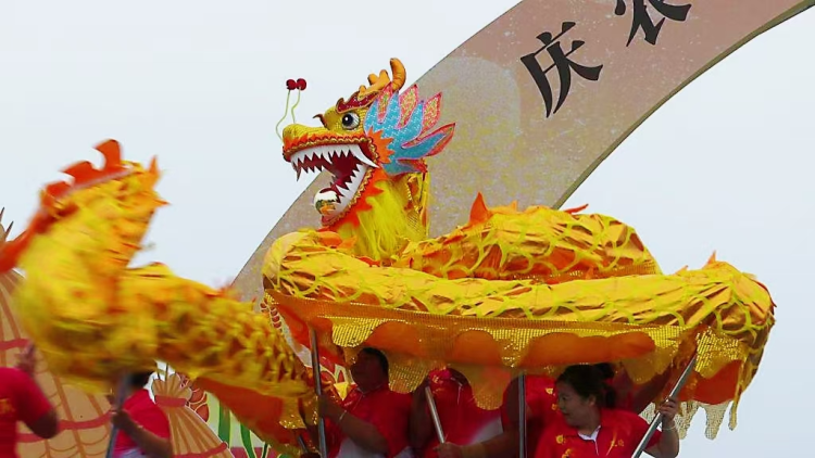 五河县 2025 年中国农民丰收节暨第七届螃蟹节启幕  以 “蟹” 为媒绘就乡村振兴新图景_fororder_3