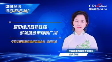 【中国经济很O-P-E-N!】中国越南商会筹委会会长：越中经济互补性强 多领域合作前景广阔