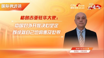 格鲁吉亚驻华大使：中国对外开放决心成就自己也将惠及世界