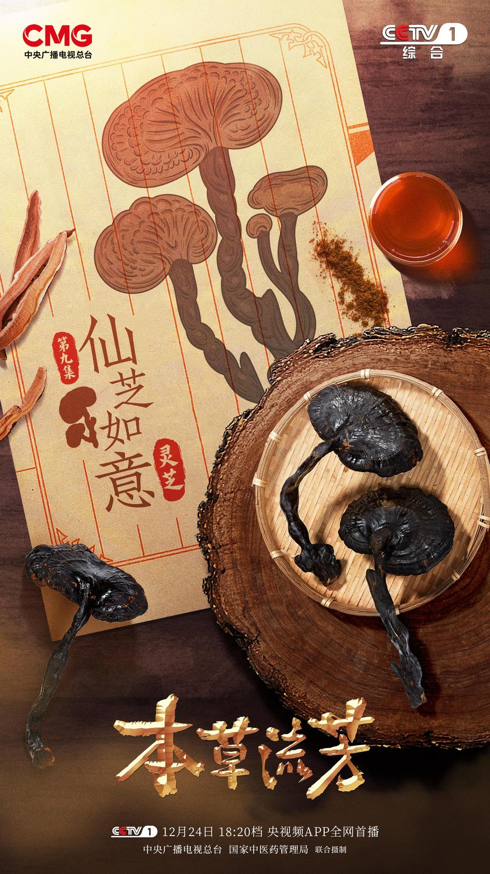 “仙草”灵芝如何化腐朽为神奇