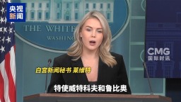 视频丨白宫称已与乌克兰讨论和平计划