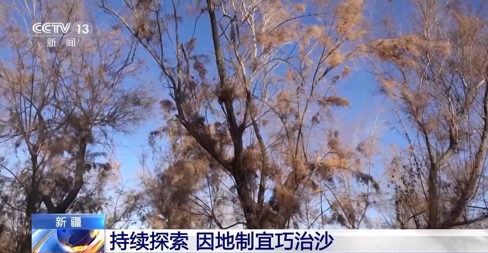 走！去塔克拉玛干沙漠，看“锁边”工程的N种模式→