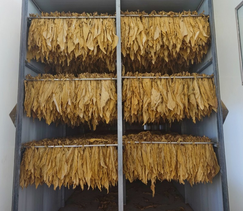 沃土之上，叶叶生金——以修身取予之道谱写乡村振兴新篇_fororder_W020251105422472177749