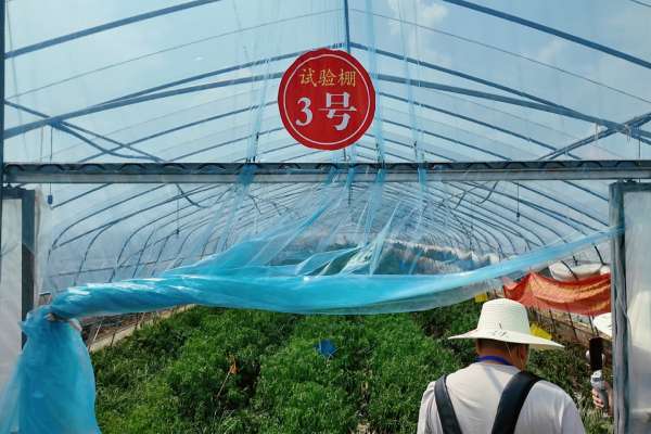活力中国调研行｜江西高安：这一口辣是乡村产业振兴的幸福滋味