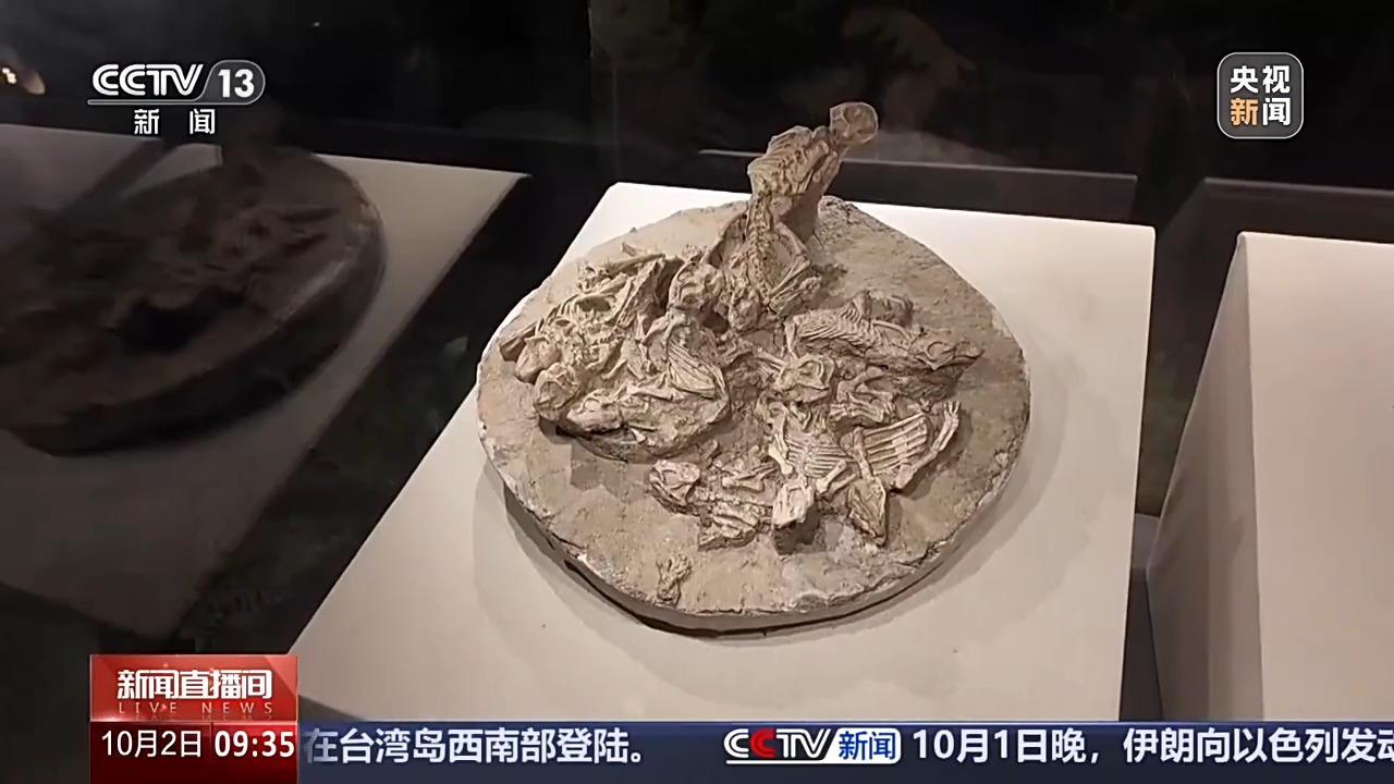 文化中国行丨红色国门、丝路驿站……二连浩特打卡指南有!