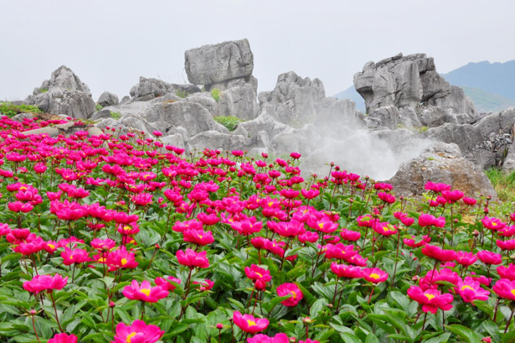 千年药香淬炼新动能——解密邵阳中医药产业全链发展模式_fororder_c5deb195aaa6c1239142da5b4c5cd37f (1)