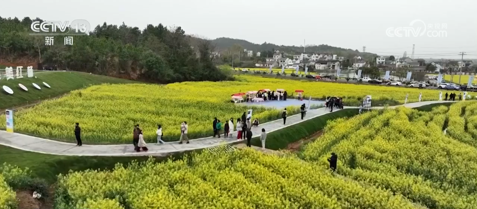 “花样”美景带火“赏花游” 消费市场迎来“春日限定”热潮