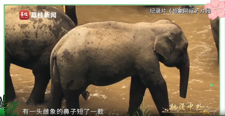 文耀中华｜第十集《融通中外》