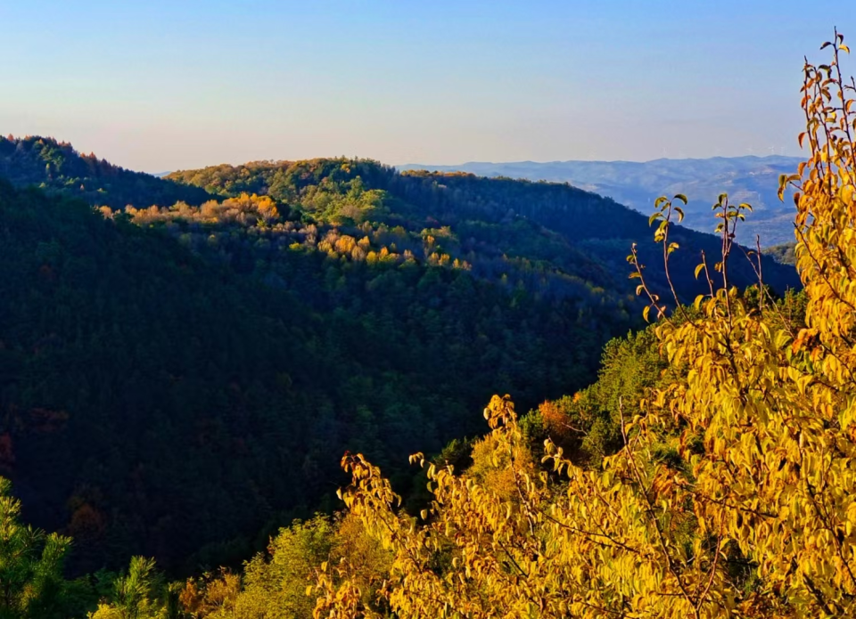 天水清水秋日“美拉德”风拉满_fororder_图片 27_20251106104814_AI看图