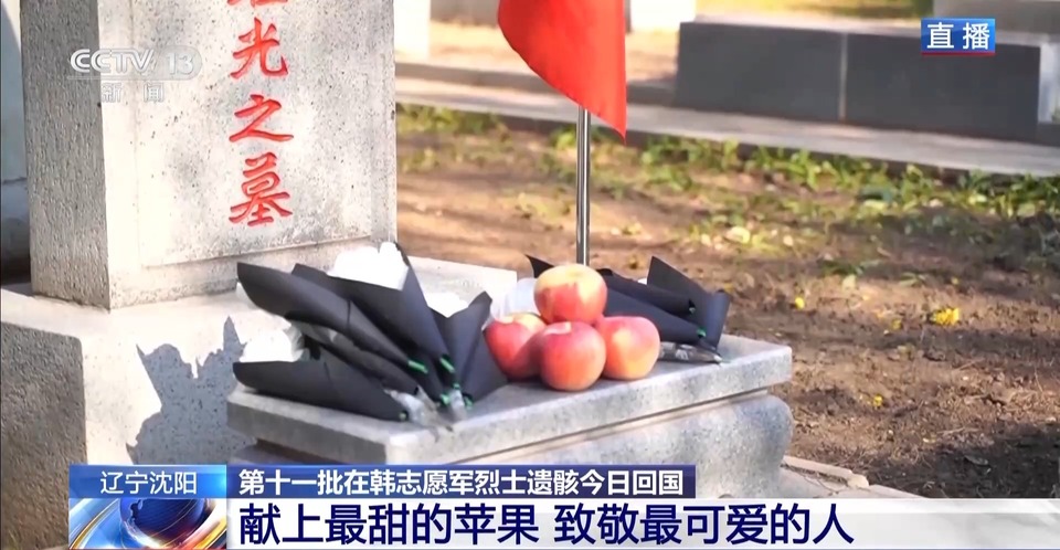 沈阳抗美援朝烈士陵园静候烈士回家