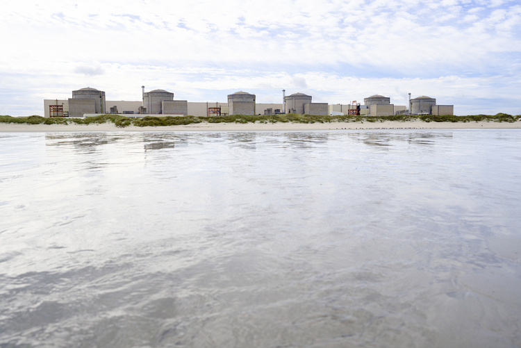 大量水母涌入 法国格拉沃利讷核电站3座反应堆停运