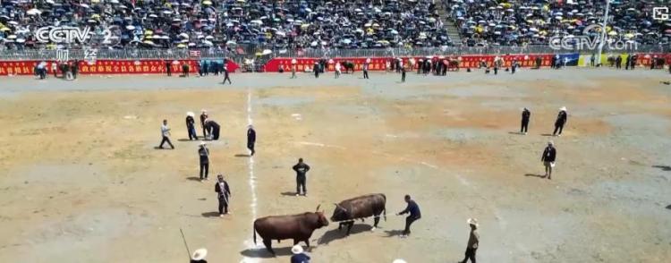 火把狂欢、丹霞探险……特色活动点亮夏日文旅盛宴 助推暑期经济活力持续释放