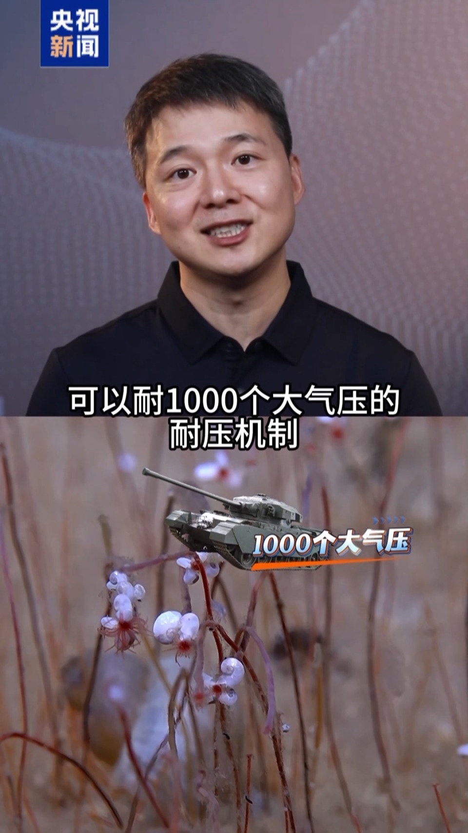 全释硬科技丨海底万米藏“生命绿洲” “深渊居民”靠什么存活？