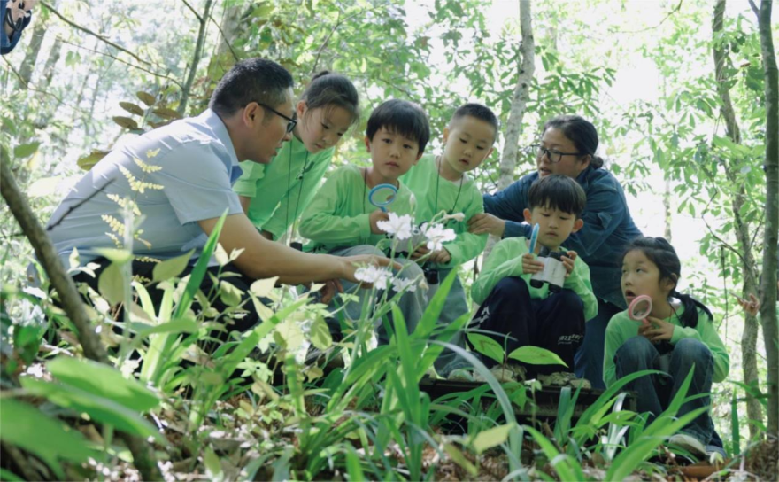 Jiangxi Yifeng Electric Power: Parent-Child "Green Exploration" Activity Promotes Ecological Awareness_fororder_图片8
