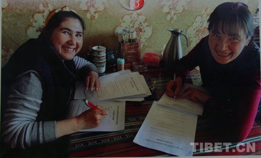 【石榴花开·籽籽同心】努增石榴籽办公室里的暖心事