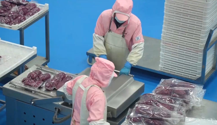 人勤春来早！工厂鸣笛开产，工程提速开工，山东全力冲刺新春“第一跑”