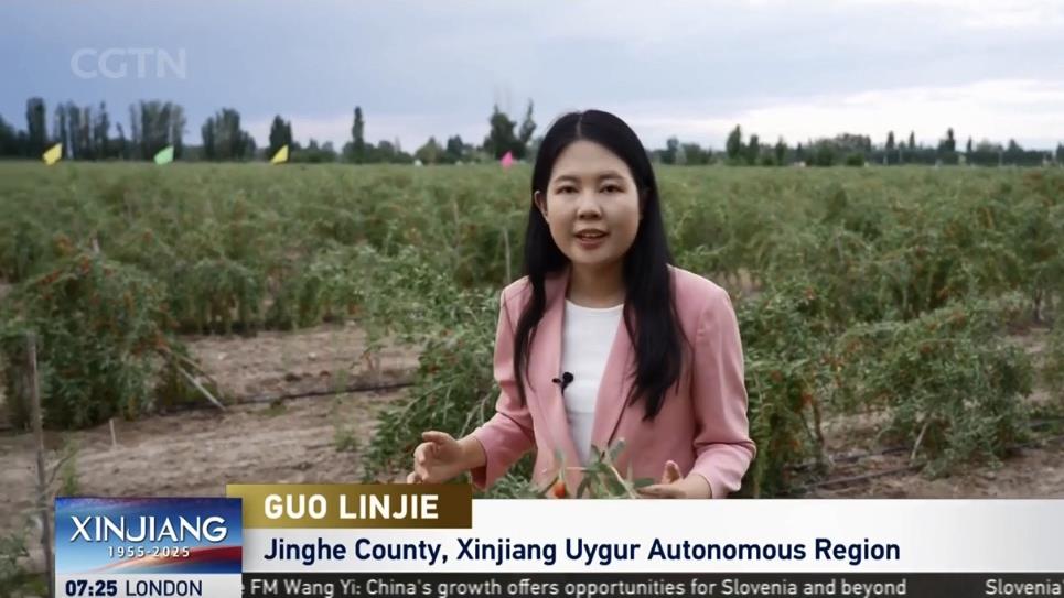 沙漠变“蓝海”！《天山新动脉》看新疆七十年沧桑巨变