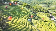 湖南浏阳：梯田秋韵入画来