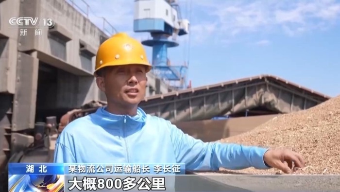 视频丨全国小麦收获进度已过七成 夏播粮食进度过四成