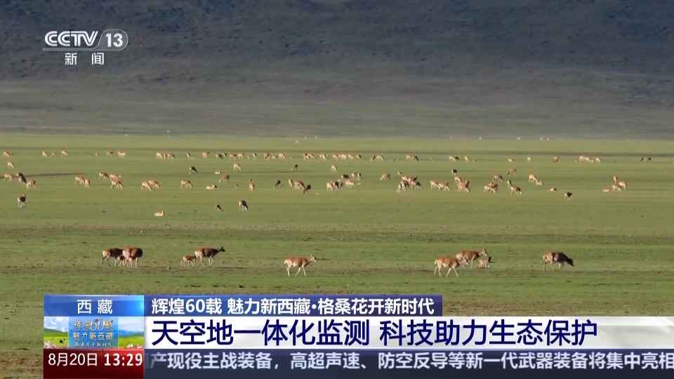 辉煌60载 魅力新西藏丨天空地一体化监测 科技守护三江源高原精灵