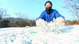 一“面”之缘！坝镇“晒”出浓浓年味