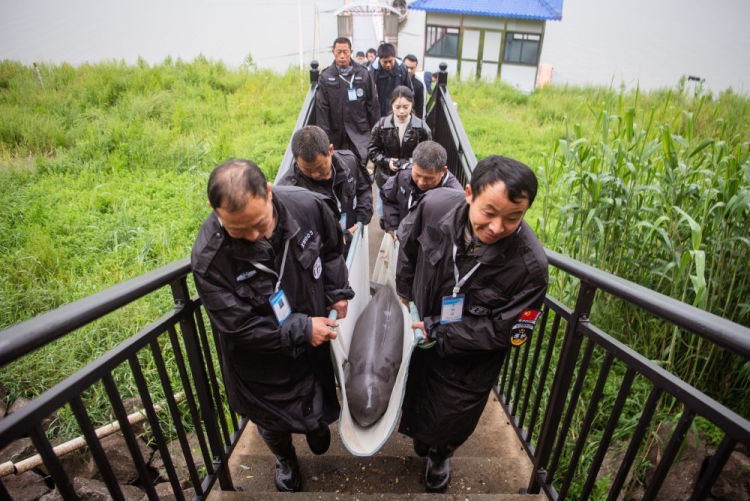 镜观·回响｜守护一江清水永续东流