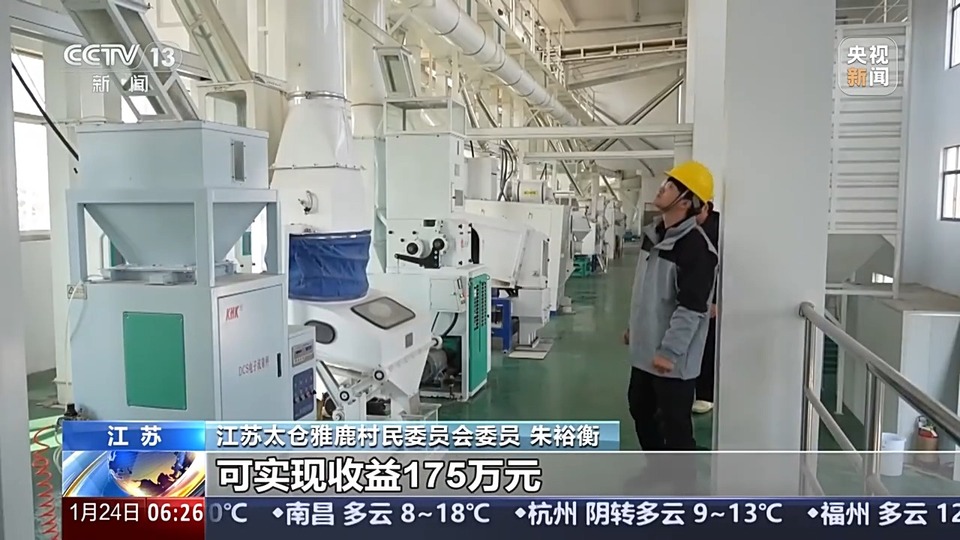 秋粮入仓忙 看科技如何赋能“大国粮仓”