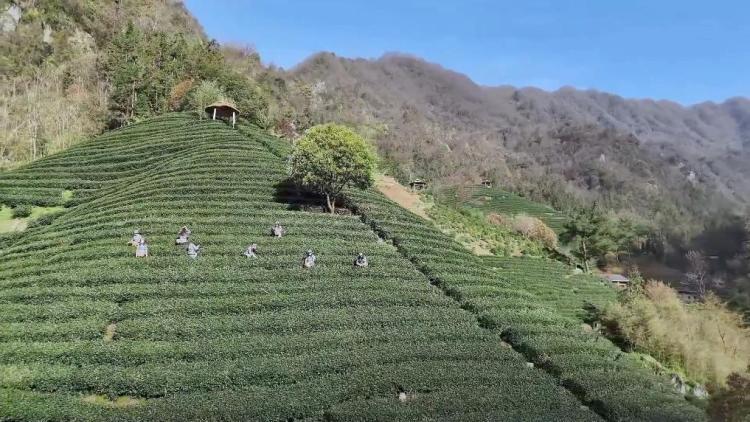 新华视点丨文旅融合促消费 春日经济持续升温