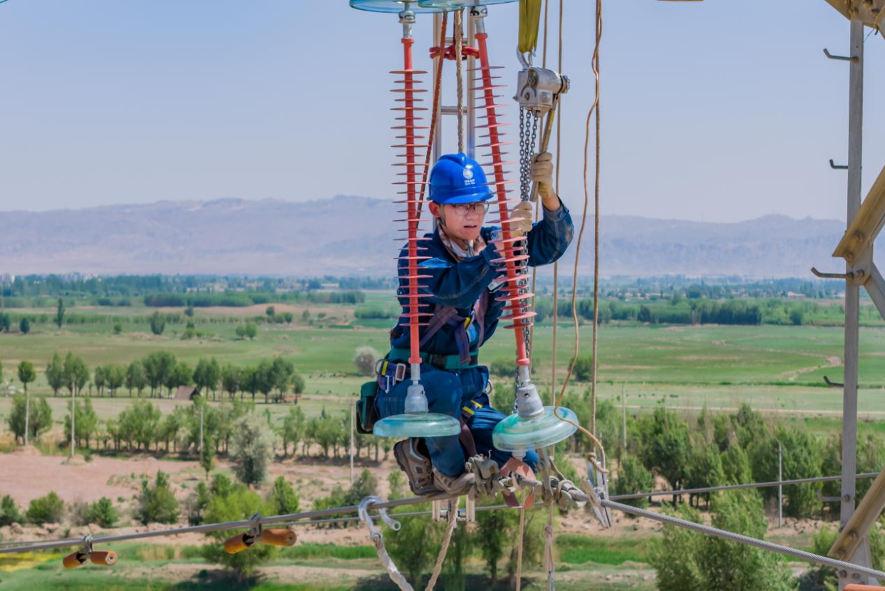 State Grid Zhangye Power Supply Company: Protecting Migratory Birds and Promoting Biodiversity_fororder_图片8