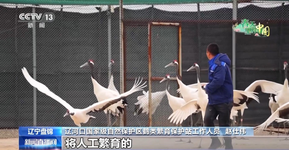 当现代农机遇上传统农业 “土豆”秒变“金豆”