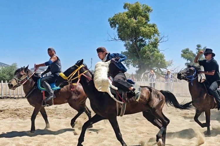 石榴花开 籽籽同心丨走进彩虹布拉克 沉浸式体验阿勒泰风土人情