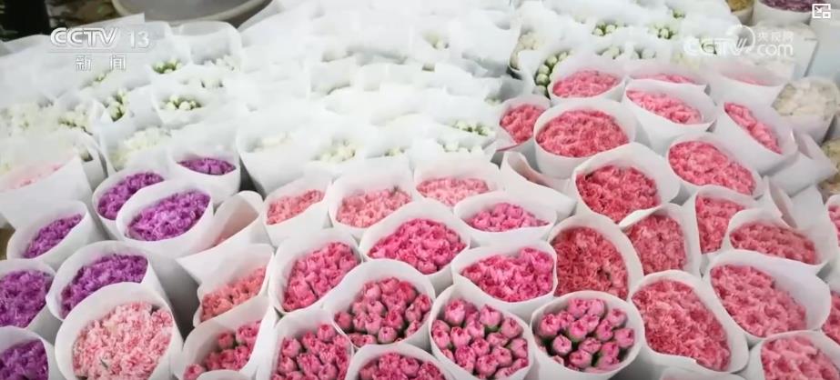 “鲜花经济”一路生花！我国花卉海外贸易持续增长 产业竞争力显著增强
