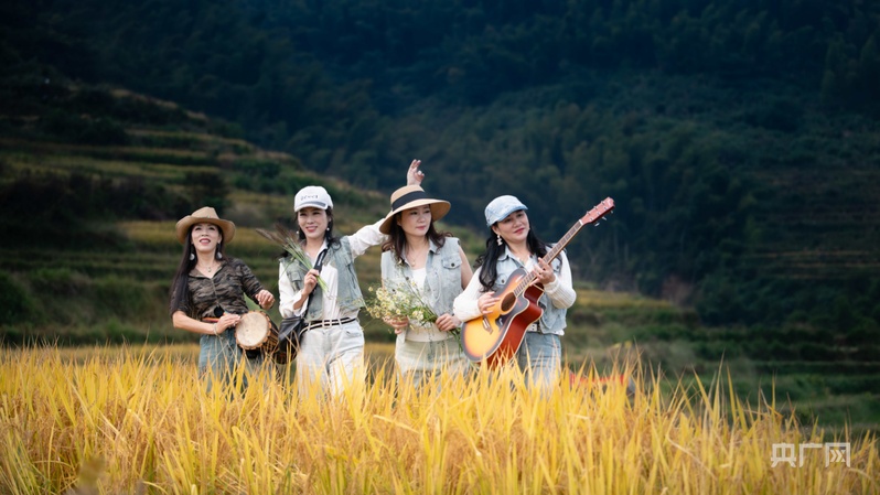 远山的回响丨一粒米的密码：谢坪村梯田的“硒谷”奇迹