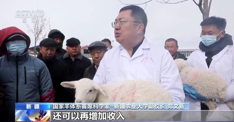 羊咩咩穿上了高科技“新衣”！来看新疆伊犁河谷牲畜春季转场
