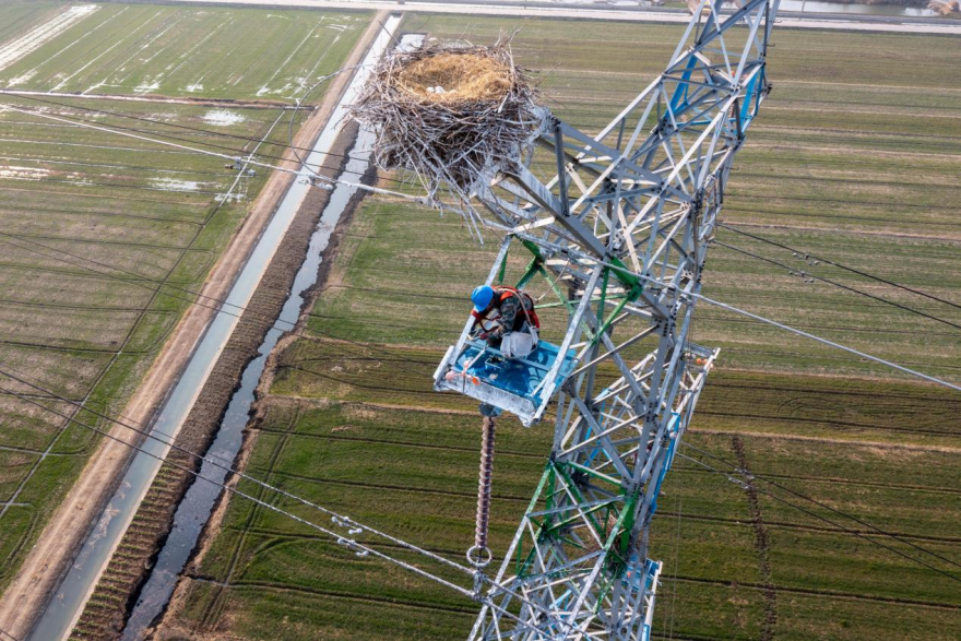 State Grid Huai'an: Powering Progress in Harmony with Nature_fororder_2