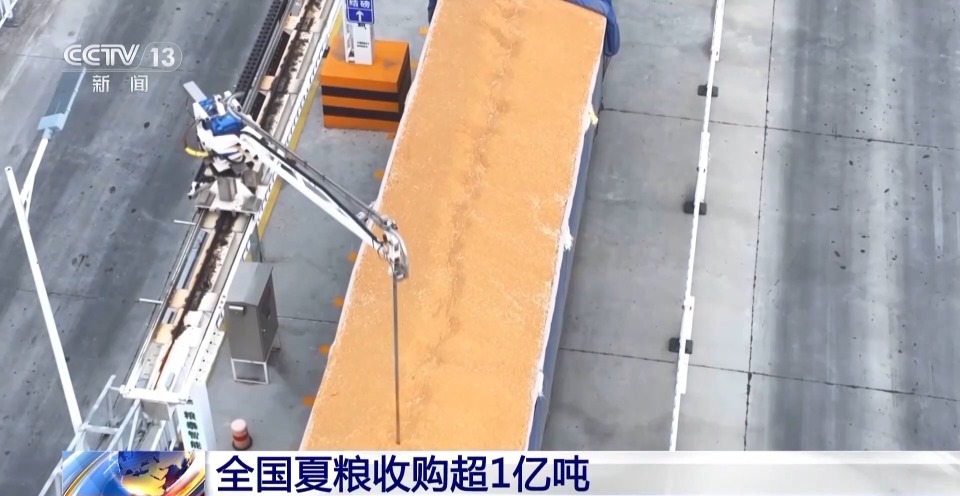 全国夏粮收购超1亿吨 小麦价格总体平稳