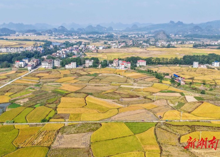 湖南道县沃野绘“丰”景_fororder_1761609984387