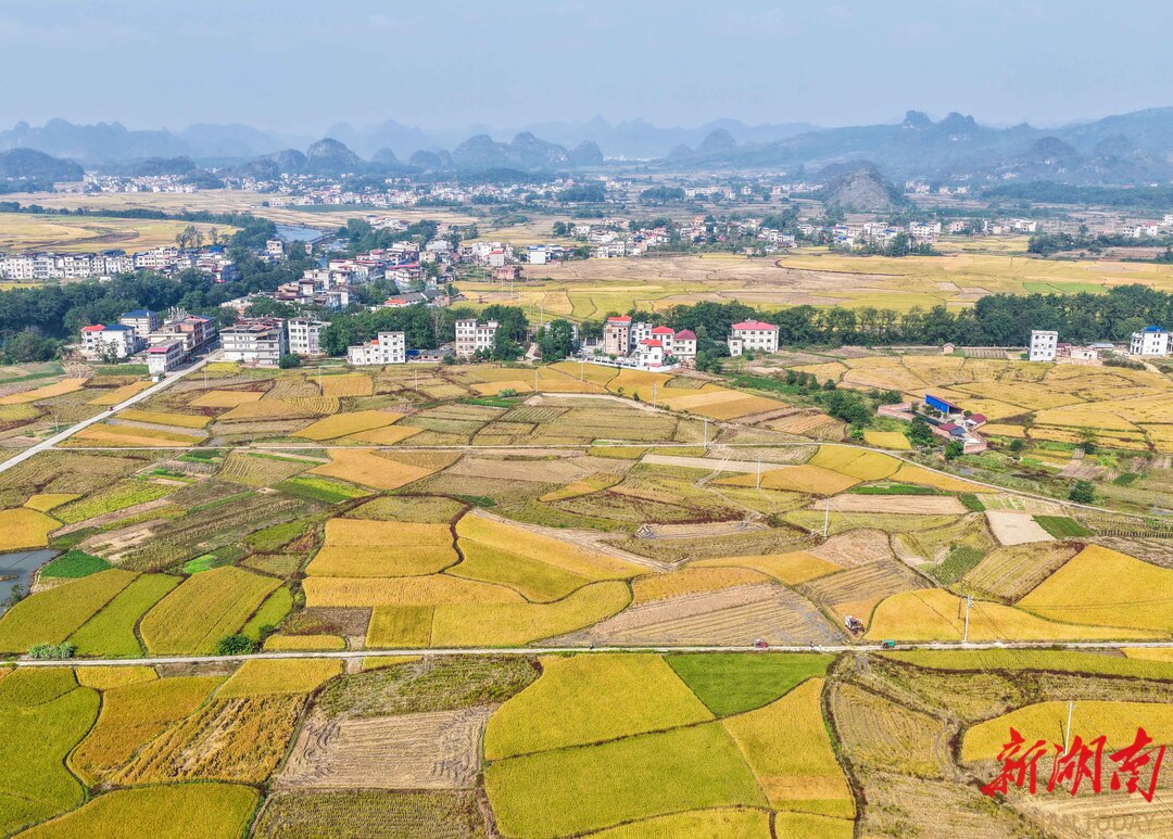湖南道县沃野绘“丰”景_fororder_1761609984387