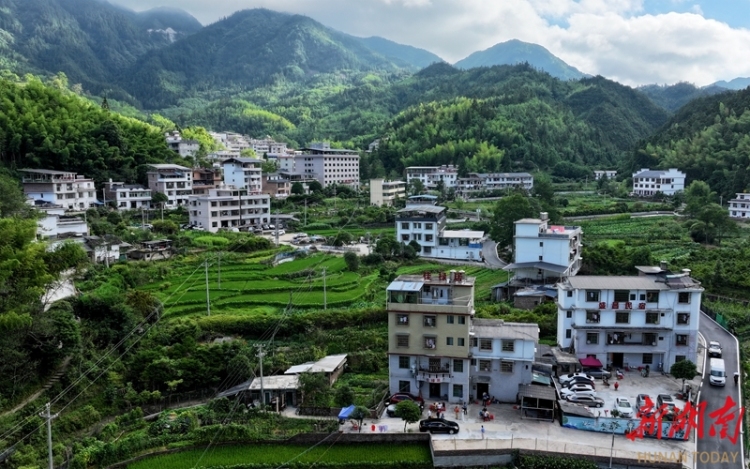 湖南桂东旅居避暑游持续升温_fororder_微信图片_20250724094437