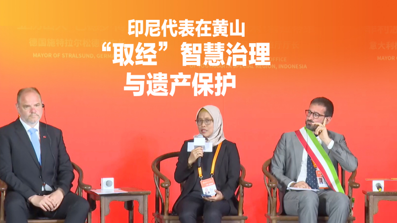 印尼代表在黄山“取经”智慧治理与遗产保护_fororder_02印度尼西亚+视频号