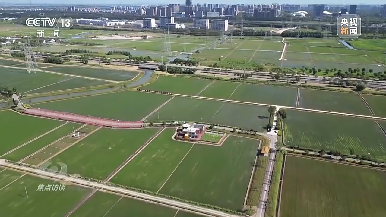 焦点访谈丨良田+良种+良机+良法 来看各地保丰收秘籍