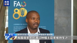 联合国粮农组织官员：中方有力支持发展中国家发展特色农产品