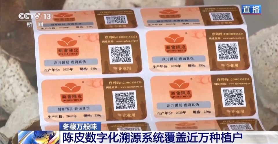 视频丨一粒豆一颗柑 中国味道饮品里藏着“绿色致富密码”