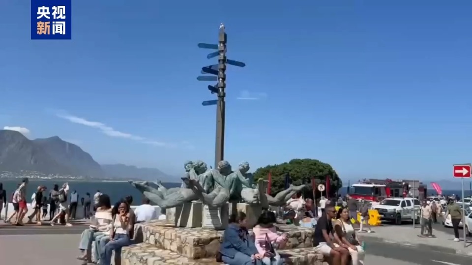 记者Vlog丨南非赫曼努斯“鲸鱼节” 生态与文化交织的海洋盛会
