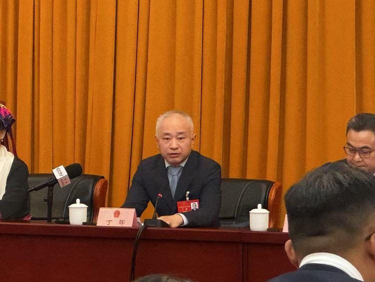 全球视野下的中国开放 | 两会会场内外热议“稳外资”  外资项目密集落地彰显中国经济吸引力